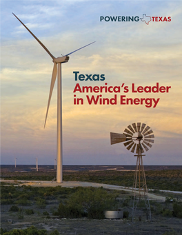 Texas America's Leader in Wind Energy