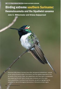 Birding Extreme Southern Suriname: Kwamalasamutu and the Sipaliwini Savanna John C