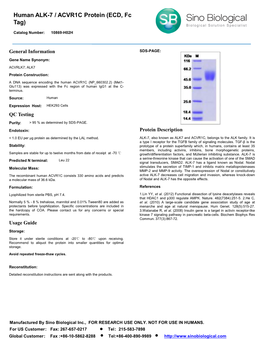 Human ALK-7 / ACVR1C Protein (ECD, Fc Tag)