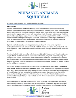 Nuisance Animals Squirrels