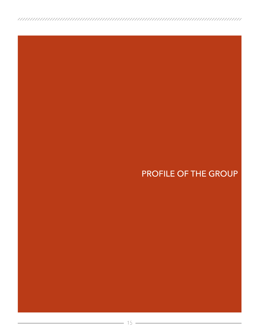 Profile of the Group