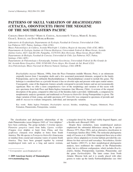 Patterns of Skull Variation of Brachydelphis (Cetacea, Odontoceti) from the Neogene of the Southeastern Pacific