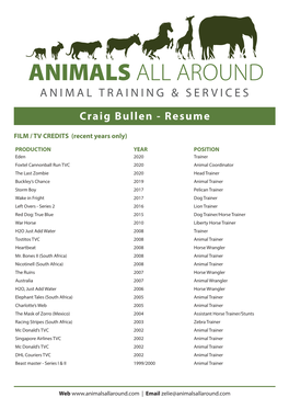 Craig Bullen - Resume