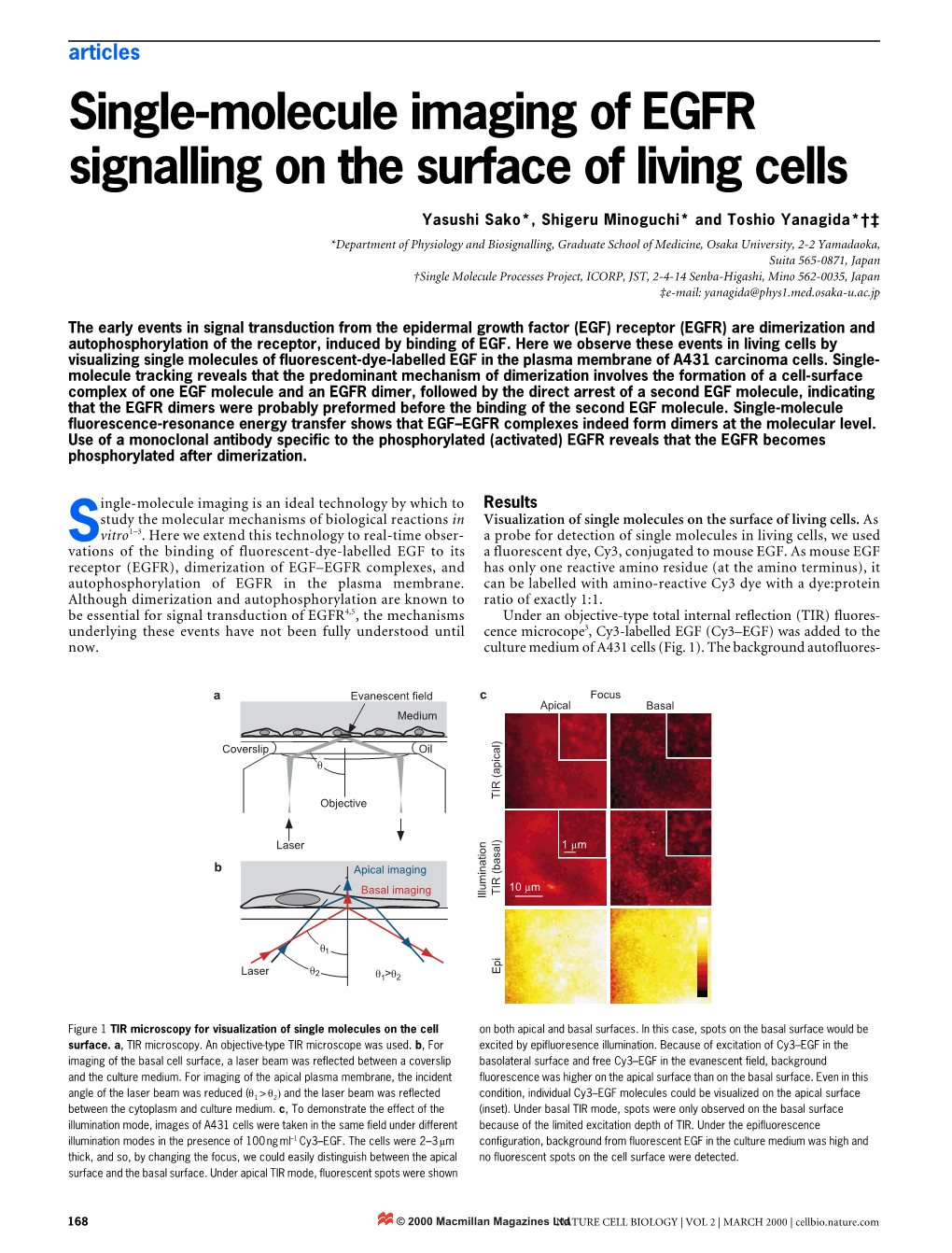 Single-Molecule Imaging of EGFR Signalling on the Surface of Living Cells