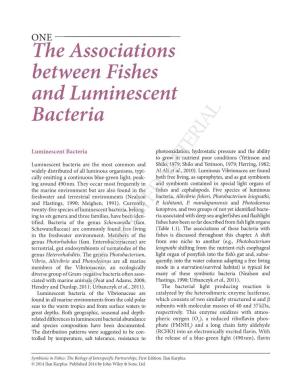 The Associations Between Fishes and Luminescent Bacteria