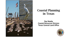 Coastal Planning in Texas