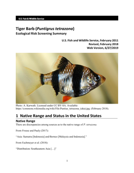 Puntigrus Tetrazona (Tiger Barb) Ecological Risk Screening Summary