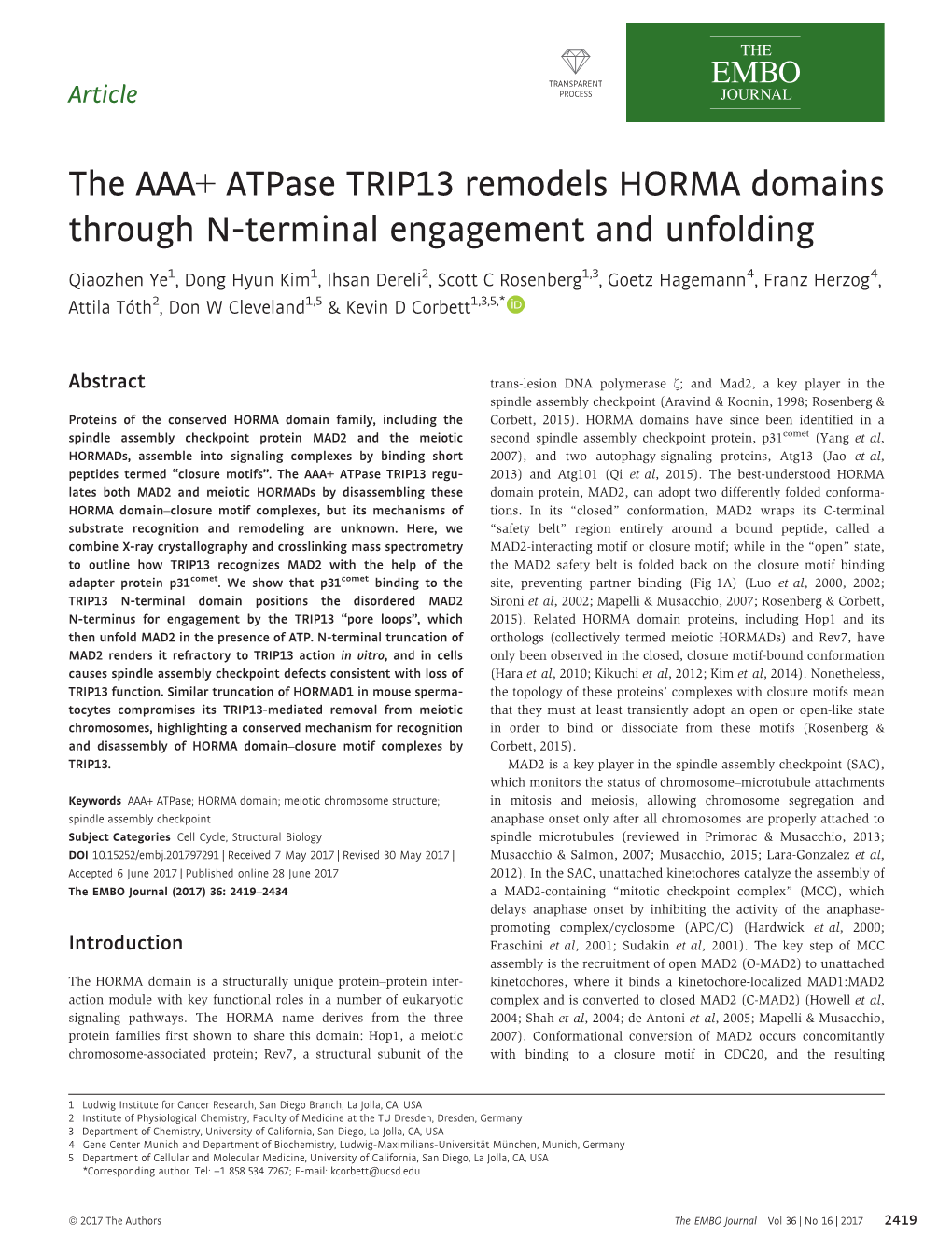 The AAA+ Atpase TRIP13 Remodels HORMA Domains Through