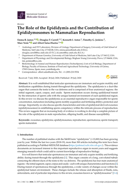 The Role of the Epididymis and the Contribution of Epididymosomes to Mammalian Reproduction