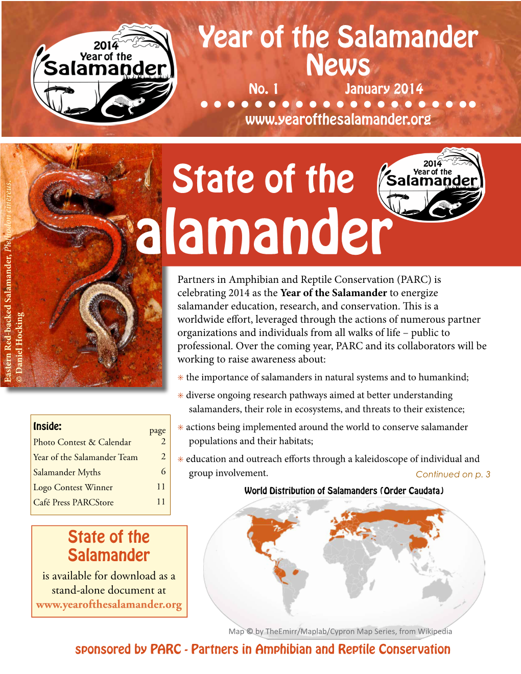 Year of the Salamander News No