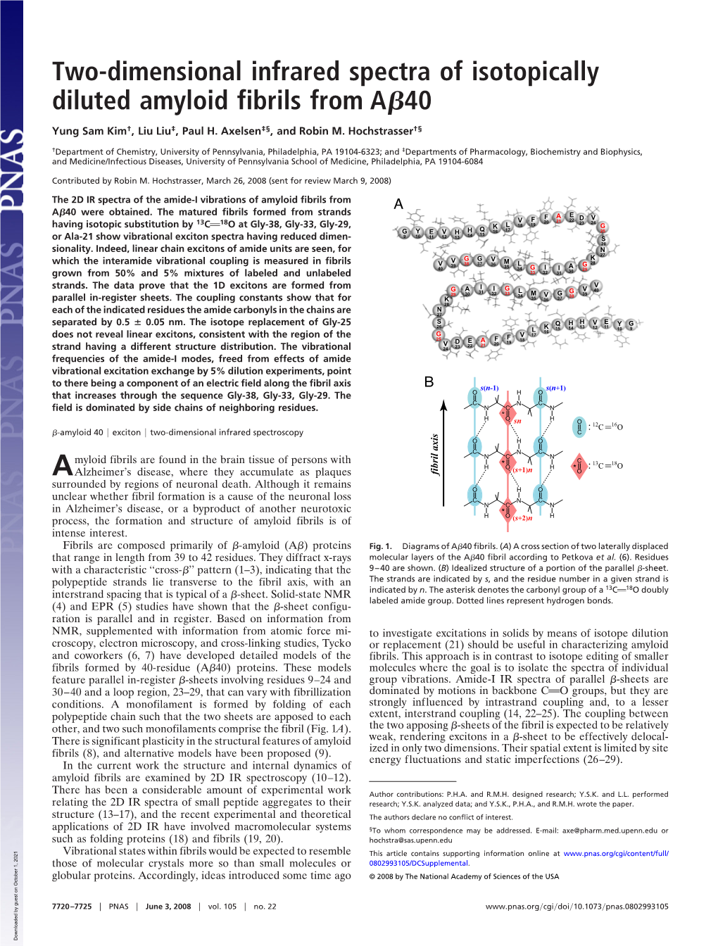 Two-Dimensional Infrared Spectra of Isotopically Diluted Amyloid Fibrils from a 40