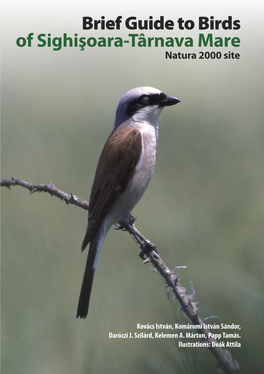 Brief Guide to Birds of Sighişoara-Târnava Mare Natura 2000 Site