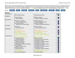 Species Photographed by Sebastian Kennerknecht Updated: 14 January, 2015