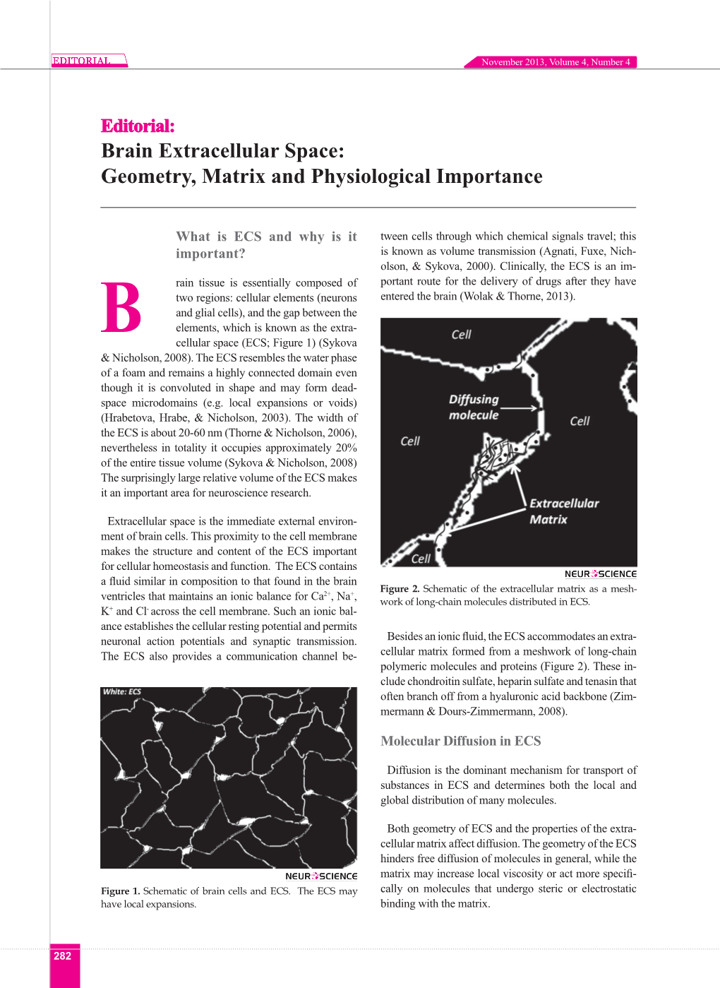 Brain Extracellular Space: Geometry, Matrix and Physiological Importance