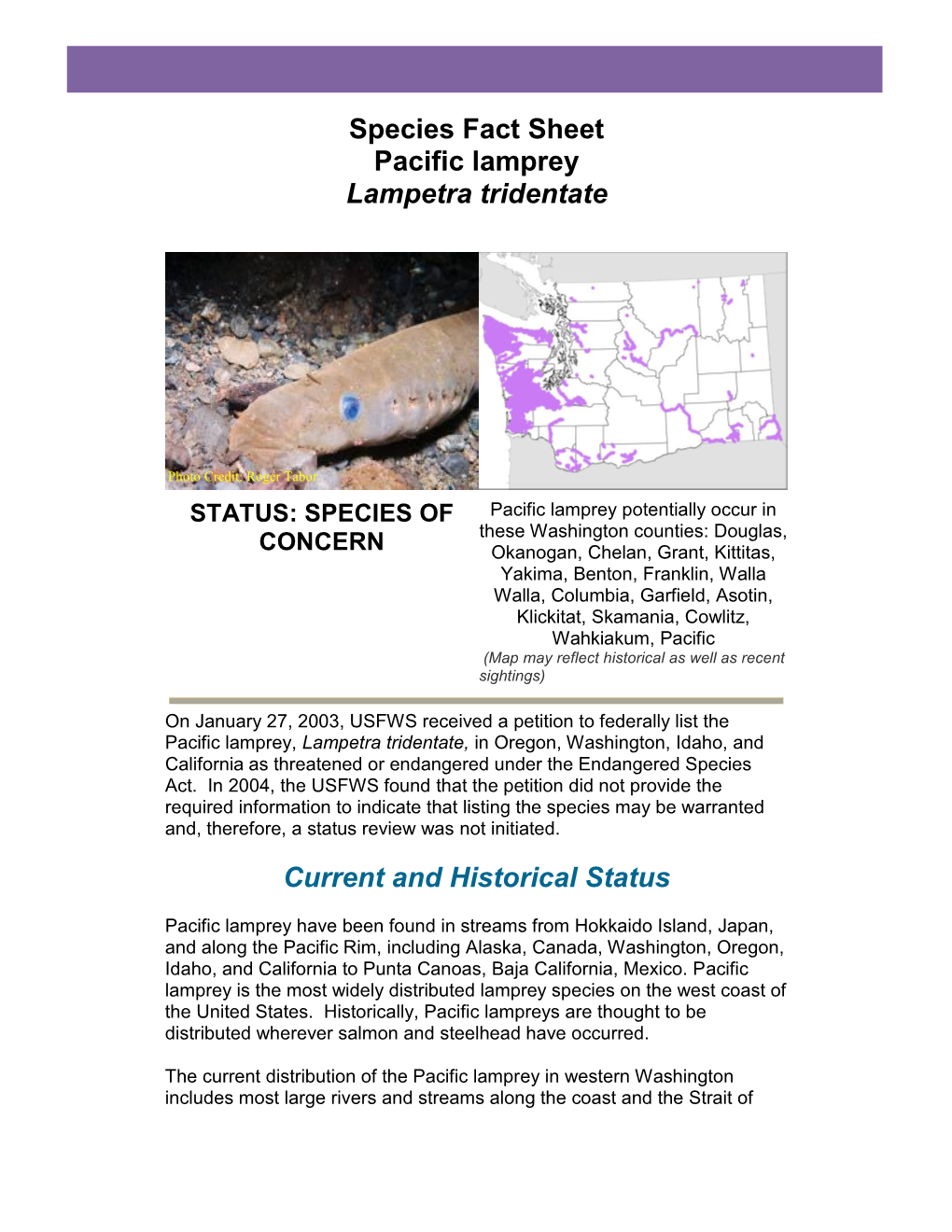 Species Fact Sheet Pacific Lamprey Lampetra Tridentate