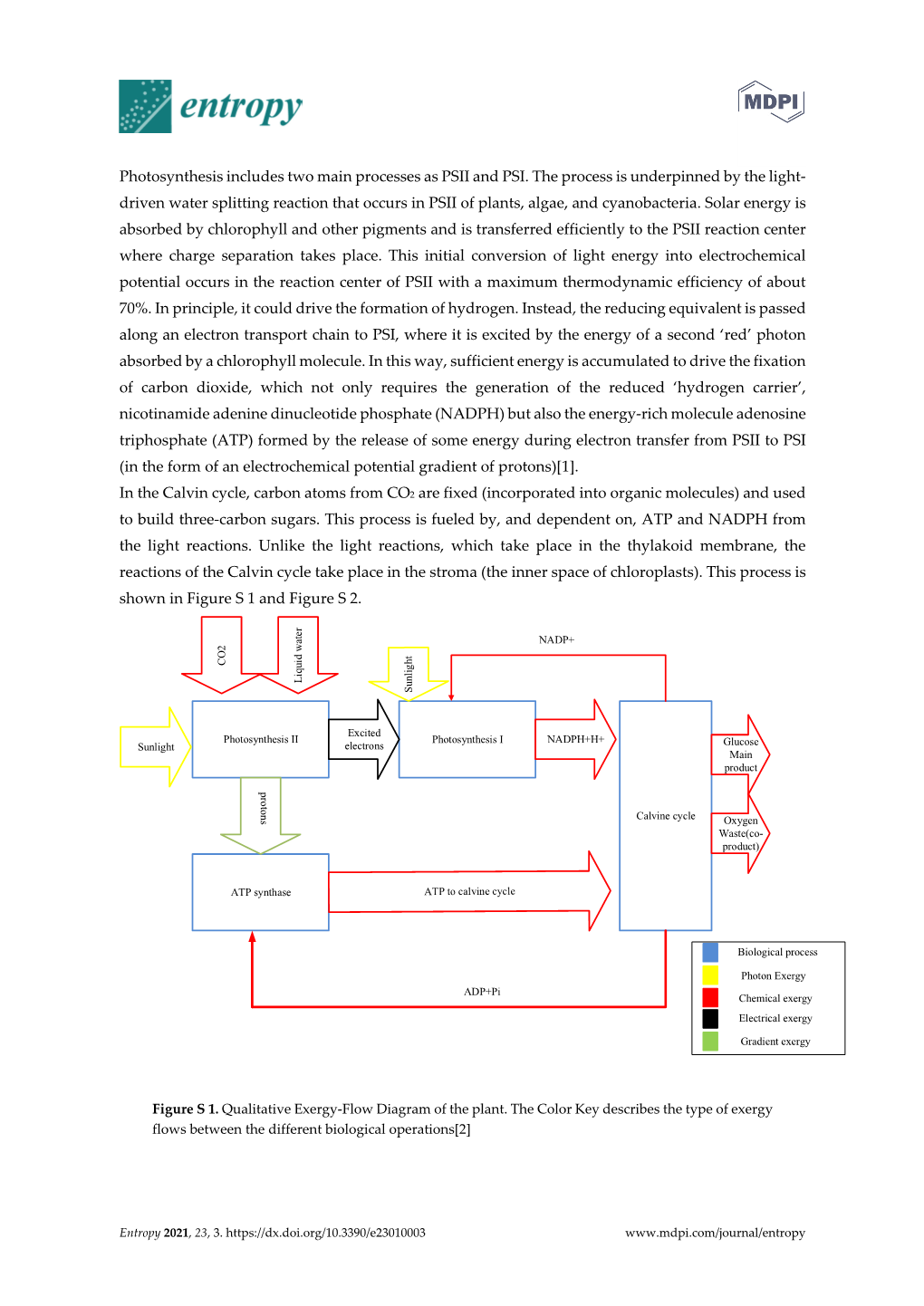 Photosynthesis Includes Two Main Processes As PSII and PSI