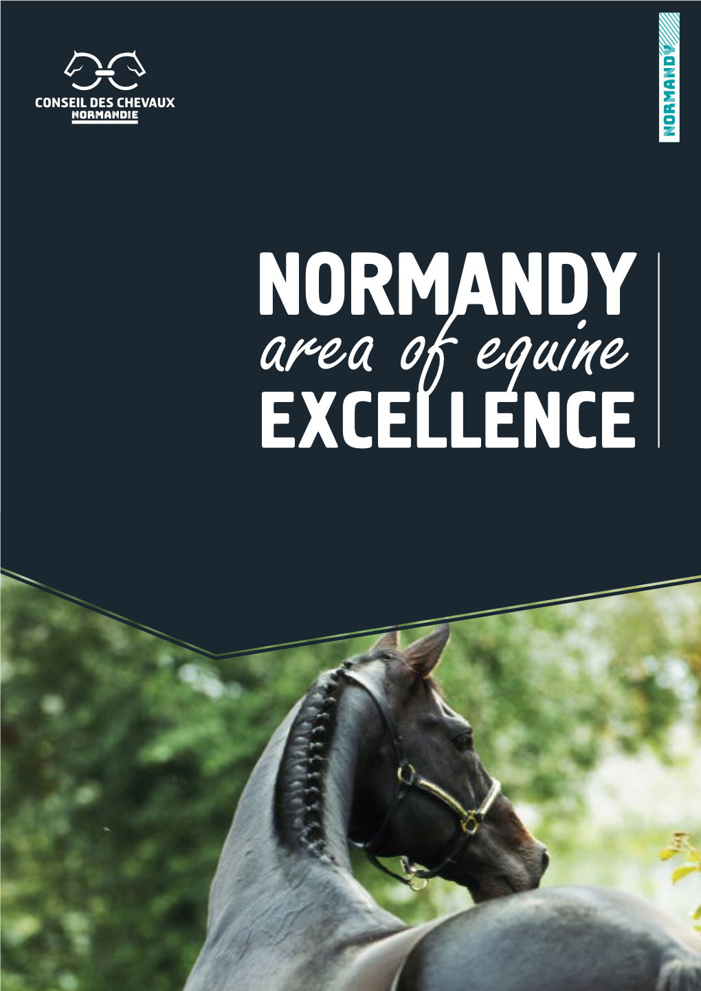 Normandy, Area of Equine Excellence 14460 COLOMBELLES (France)