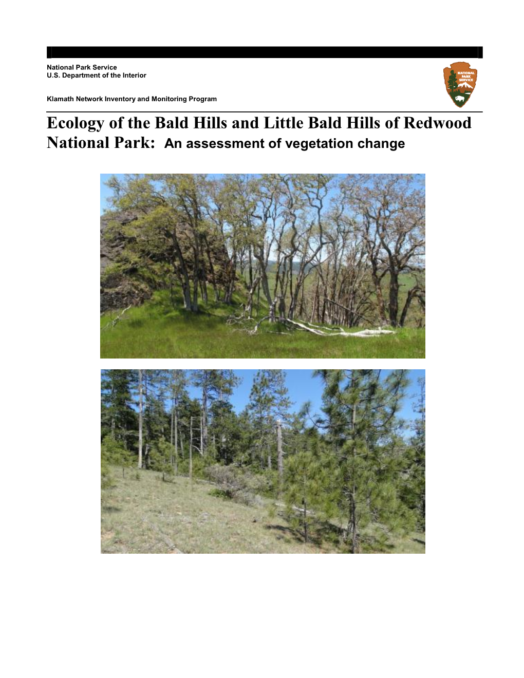 Fir Forests in the Little Bald Hills?