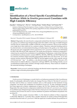 Identification of a Novel Specific Cucurbitadienol Synthase Allele In