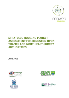 Strategic Housing Market Assessment for Kingston Upon Thames and North East Surrey Authorities