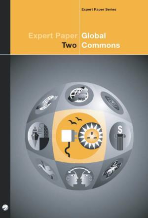 Global Commons Expert Paper