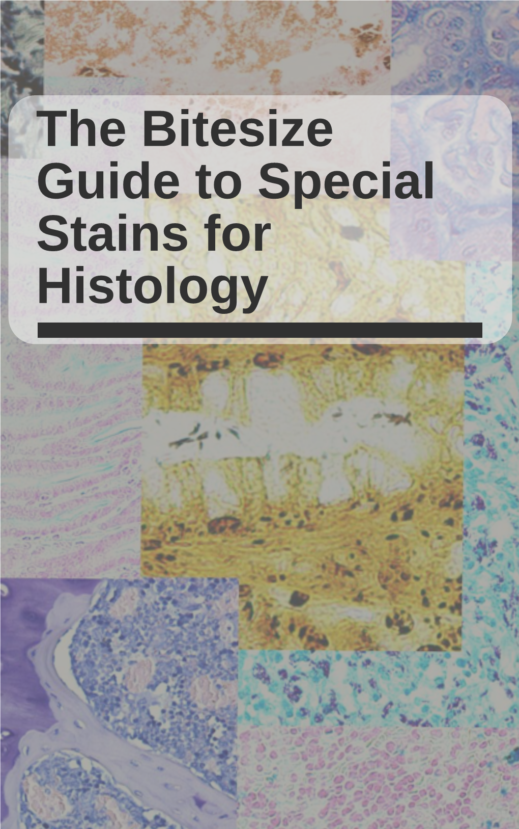 The Bitesize Guide To Special Stains For Histology - DocsLib