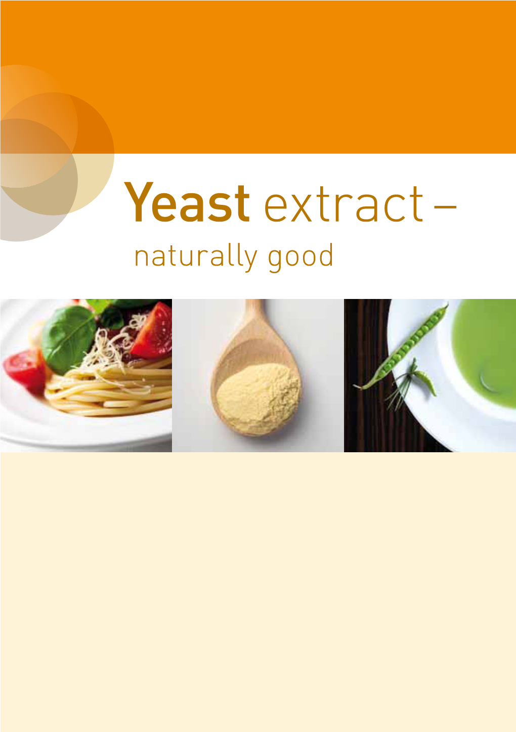 Yeast Extract – Naturally Good Index