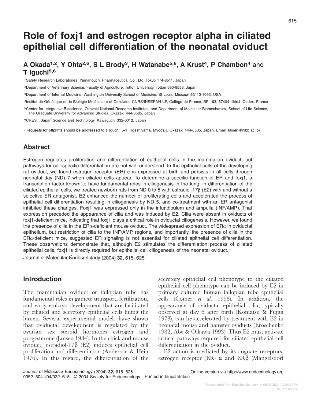 Role of Foxj1 and Estrogen Receptor Alpha in Ciliated Epithelial Cell Differentiation of the Neonatal Oviduct