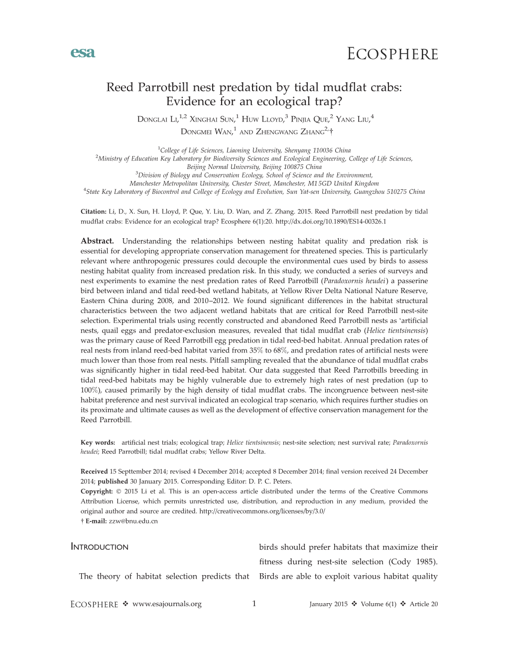 Reed Parrotbill Nest Predation by Tidal Mudflat Crabs