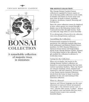 Bonsai Pdf 5/31/06 11:18 AM Page 1