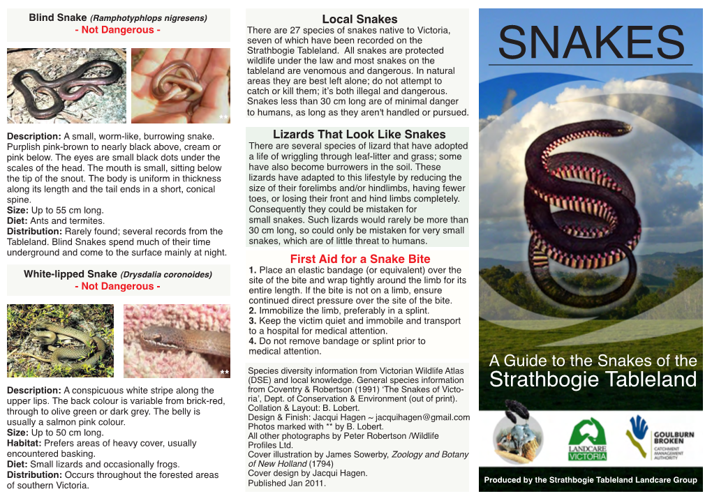 Snakes of the Strathbogie Tableland