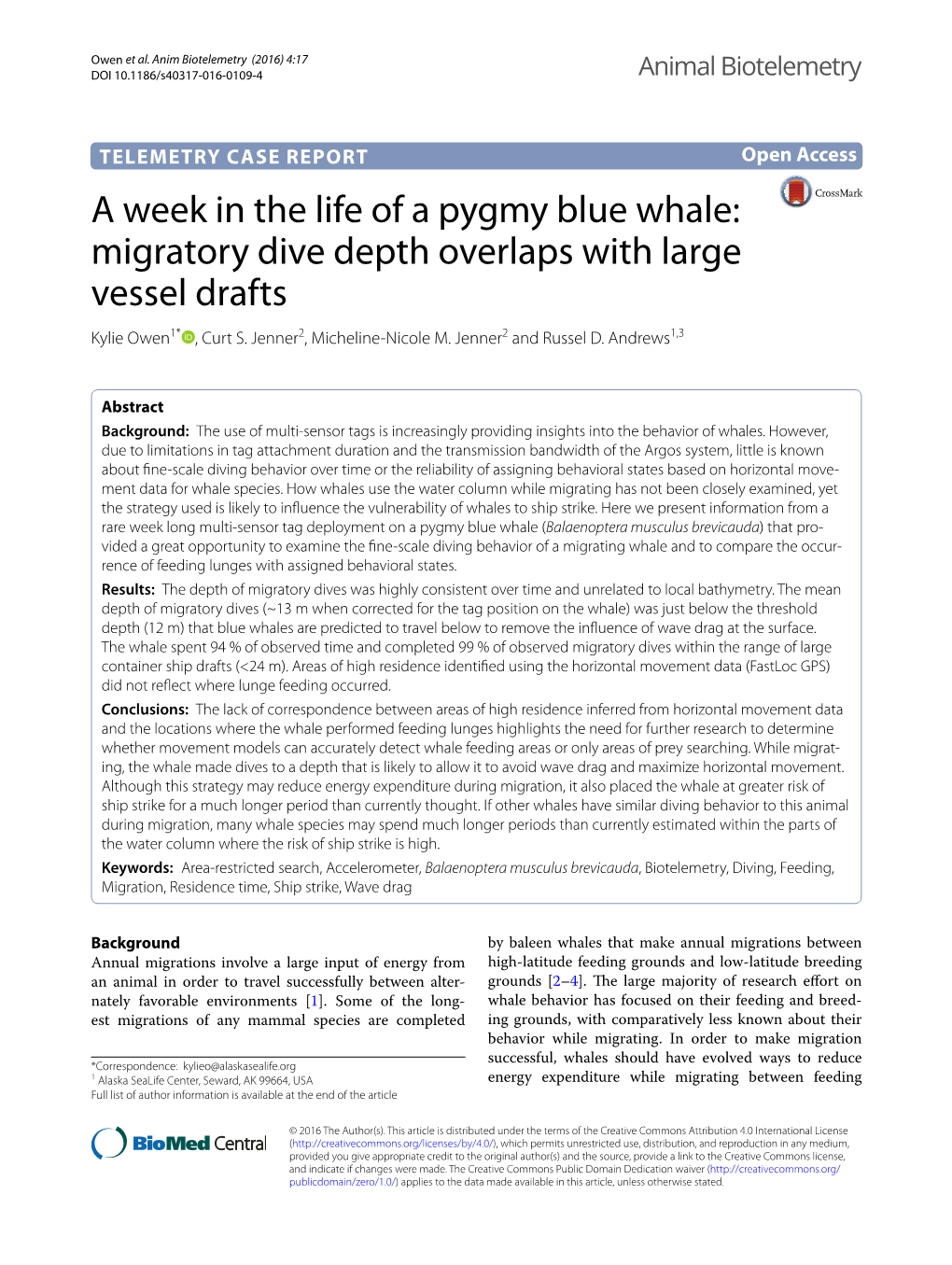 A Week in the Life of a Pygmy Blue Whale: Migratory Dive Depth Overlaps with Large Vessel Drafts Kylie Owen1* , Curt S
