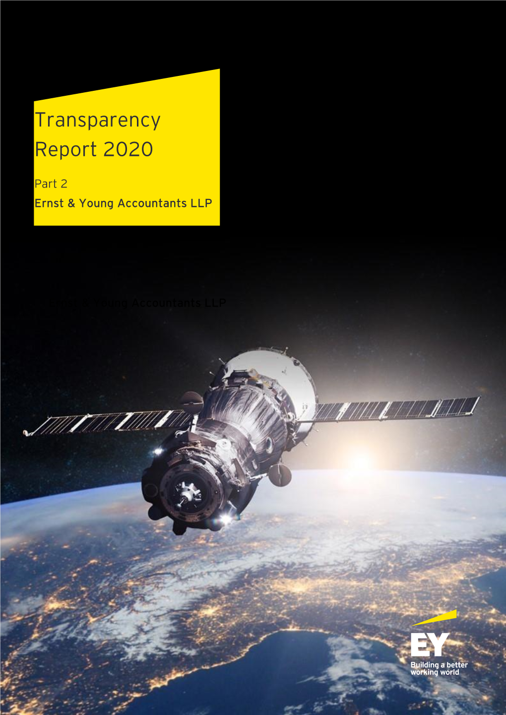 Transparency Report 2020 (Part 2) | Ernst & Young Accountants