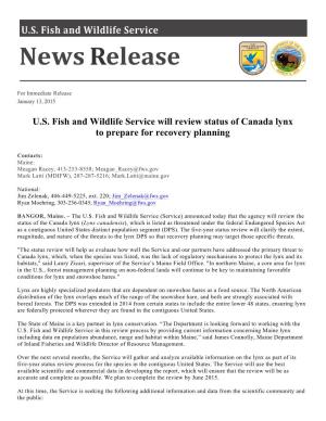 U.S. Fish and Wildlife Service Will Review Status of Canada Lynx to Prepare for Recovery Planning