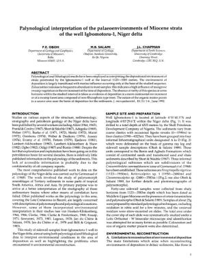 Palynological Interpretation of the Palaeoenvironments of Miocene Strata of the Well Igbomotoru-1, Niger Delta