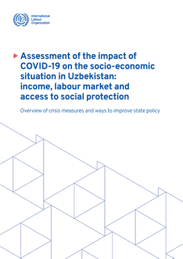 COVID-19 on the Socio-Economic Situation in Uzbekistan: Income, Labour Market and Access to Social Protection