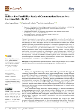 Holistic Pre-Feasibility Study of Comminution Routes for a Brazilian Itabirite Ore