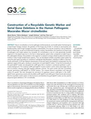 Construction of a Recyclable Genetic Marker and Serial Gene Deletions in the Human Pathogenic Mucorales Mucor Circinelloides