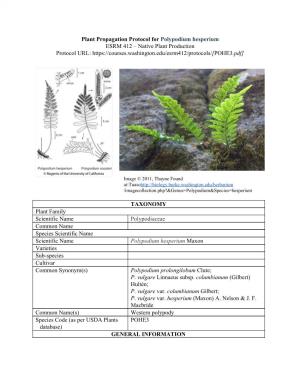 Plant Propagation Protocol for ​Polypodium Hesperium ESRM