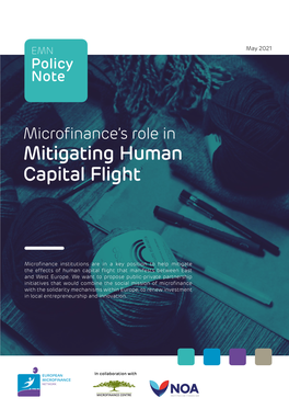 Mitigating Human Capital Flight