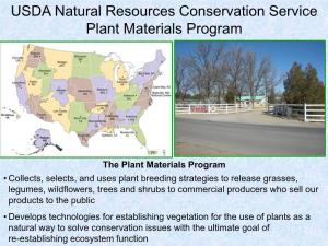 Effective Southwest Riparian Tree and Shrub Planting Methods That Require Minimal Or No Irrigation