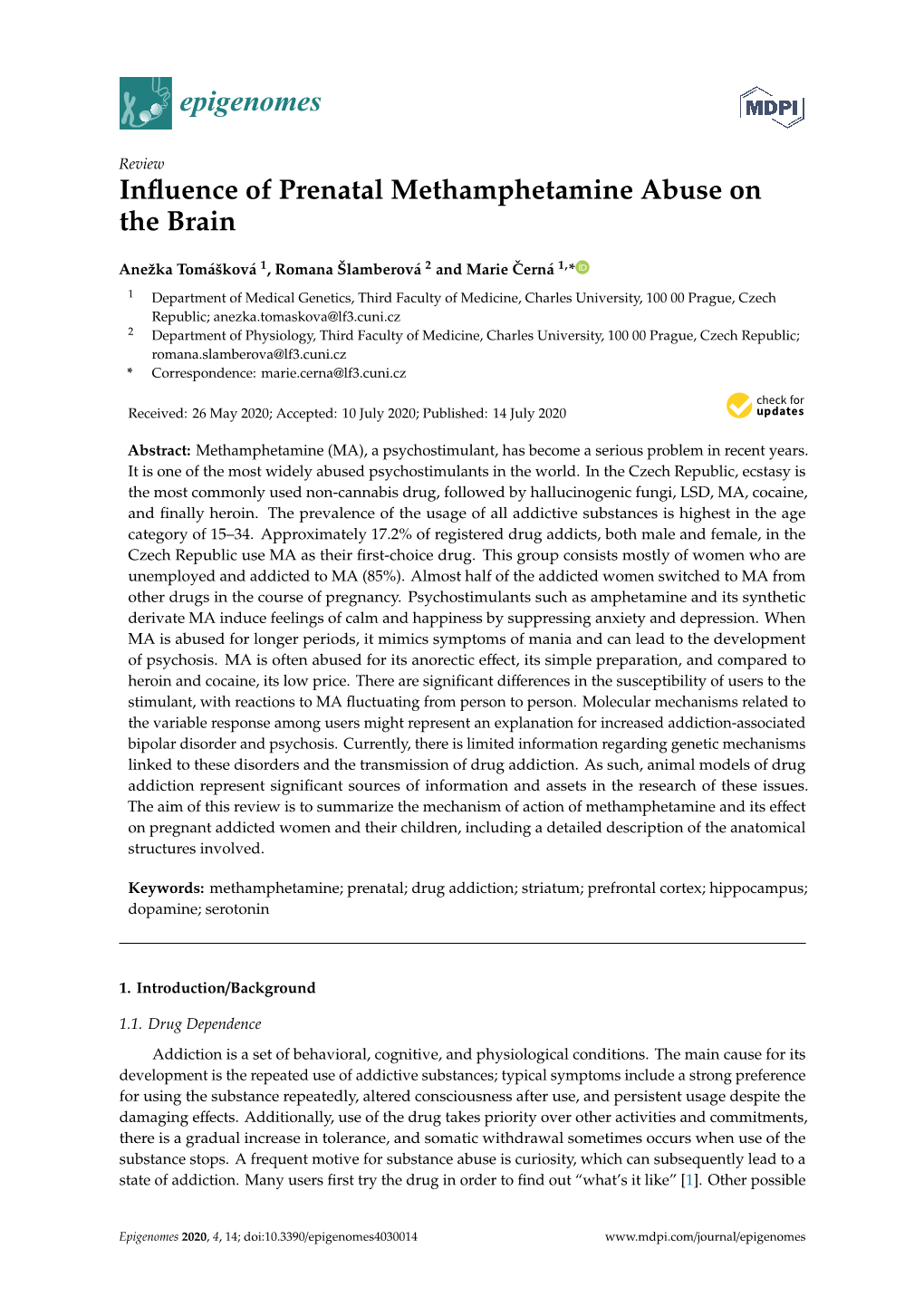 Influence of Prenatal Methamphetamine Abuse on the Brain