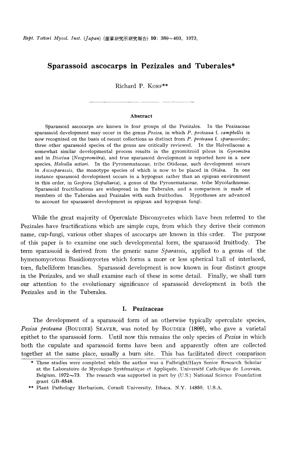 Sparassoid Ascocarps in Pezizales and Tuberales*