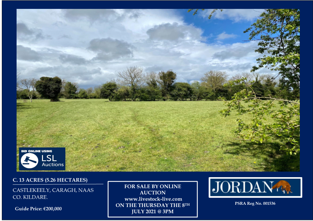 13 Acres, Caragh.Pdf