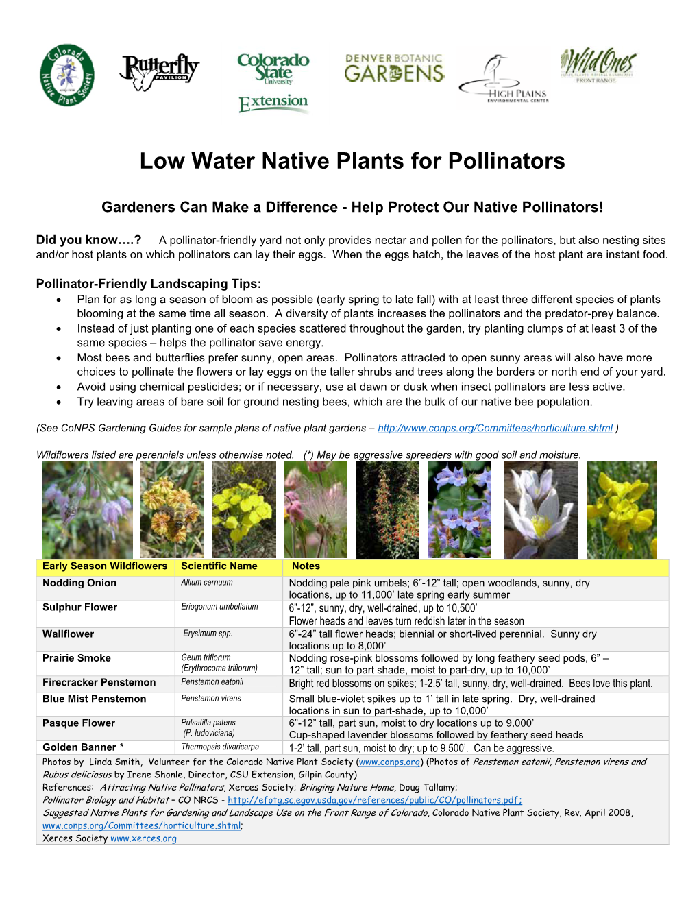 Low Water Native Plants for Pollinators