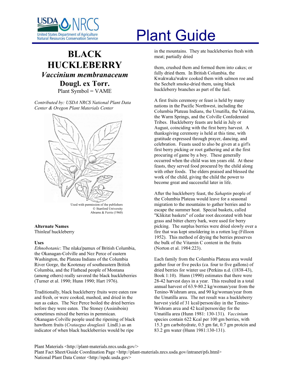 Black Huckleberry Fruits Were Eaten Raw Tenino-Wishram Area, and 90 Kg/Woman/Year from and Fresh, Or Were Cooked, Mashed, and Dried in the the Umatilla Area