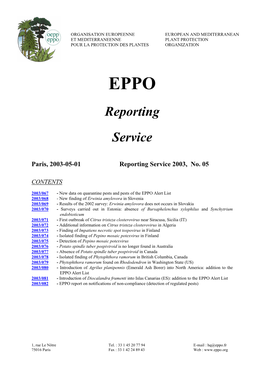 Reporting Service 2003, No