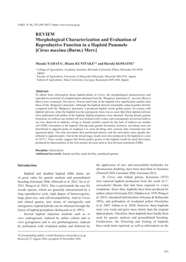 Morphological Characterization and Evaluation of Reproductive Function in a Haploid Pummelo [Citrus Maxima (Burm.) Merr.]