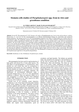 Stomata Cells Studies of Paraphalaenopsis Spp