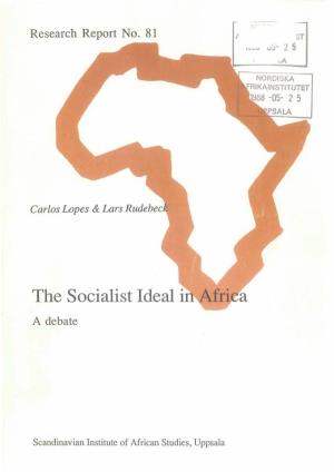 The Socialist Idealinafrica